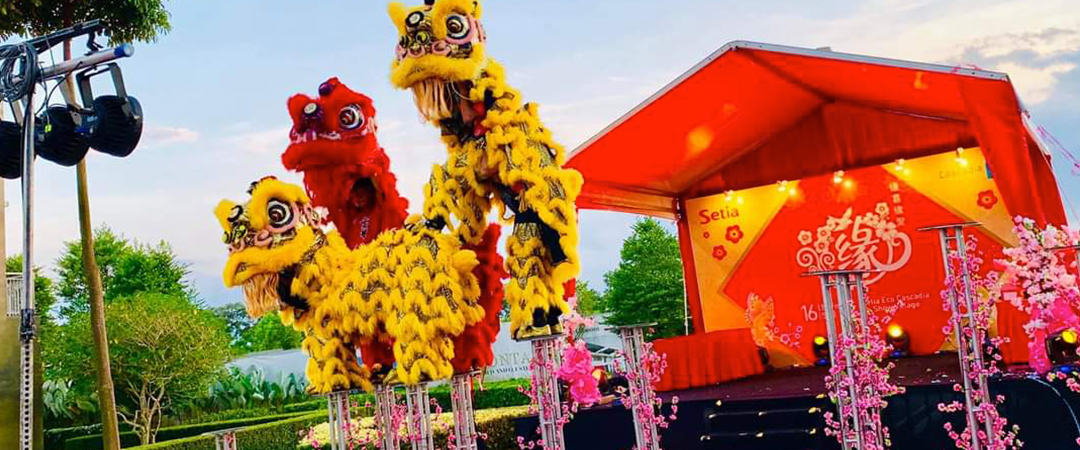 High Pole Acrobatic Lion Dance