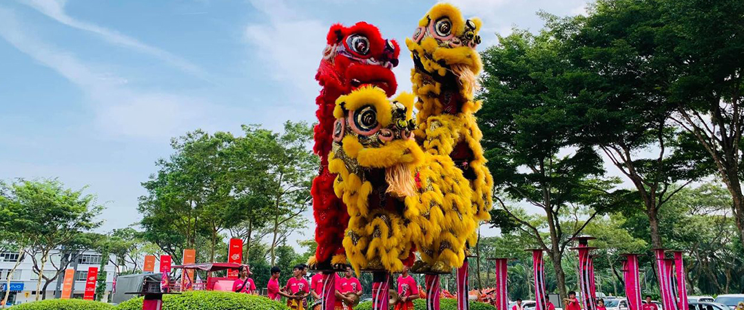 High Pole Acrobatic Lion Dance