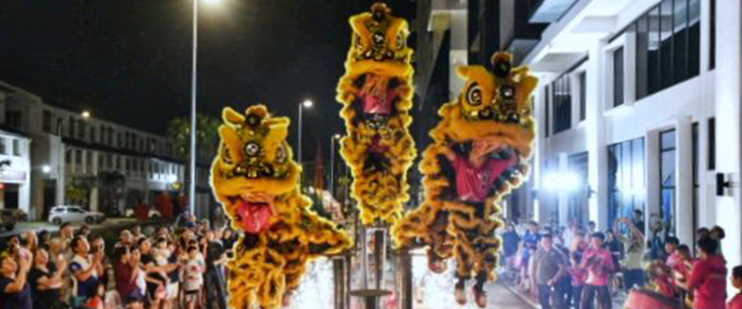 High Pole Acrobatic Lion Dance