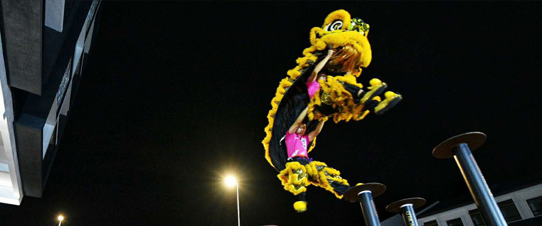 High Pole Acrobatic Lion Dance