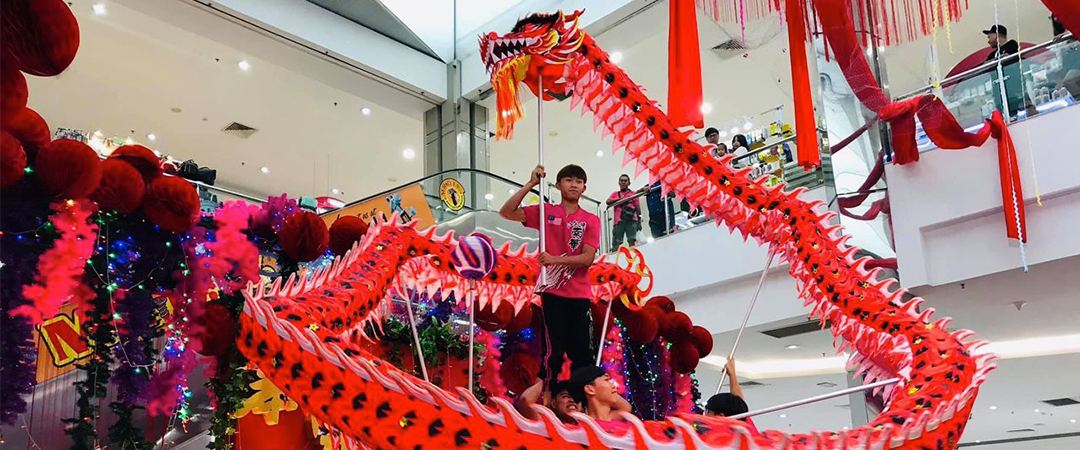 Dragon Dance Performance